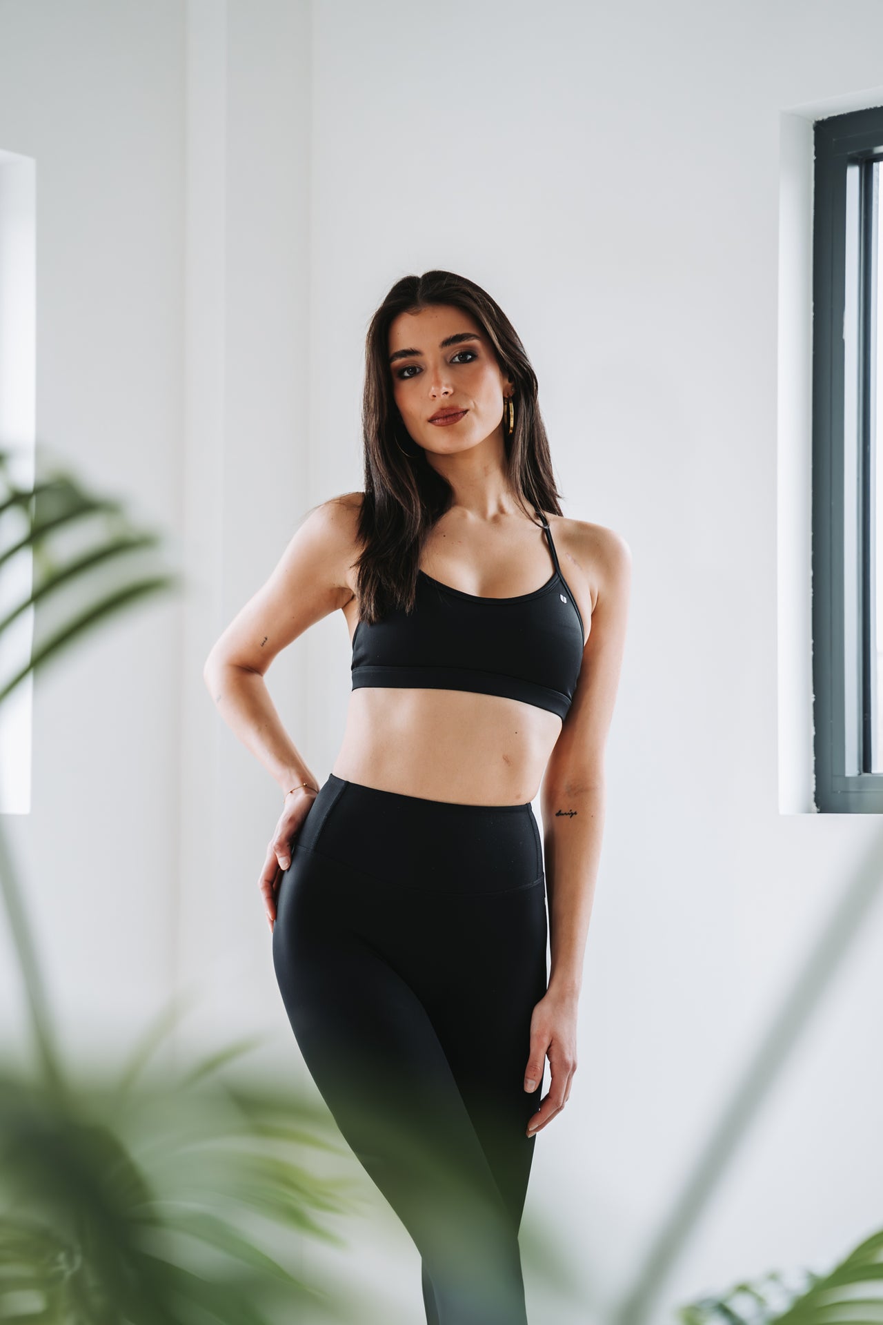 Ivy